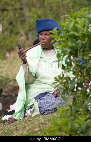 Coffee Bay, Transkye, Wild Coast, Südafrika. Ein Tribal sammeln in einem lokalen Dorf. Stockfoto