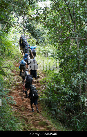 Wandern auf dem Kokoda Trail in Papua-Neuguinea - eine der schwierigsten Wanderungen in PNG Stockfoto