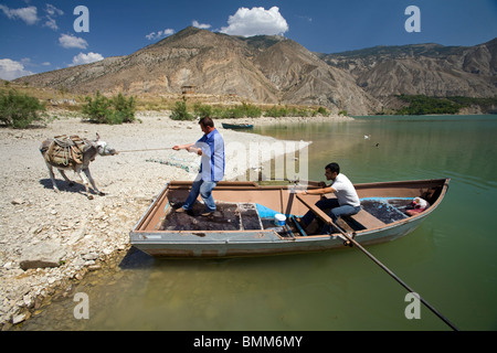 Immer an Bord, Tortum Vansee Türkei wehrt Esel. Stockfoto