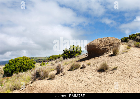 Wilde Landschaft in Insel Faial, Azoren, Portugal Stockfoto