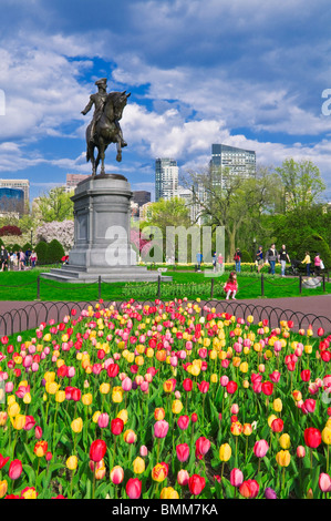 Tulpen und George Washington-Statue an der Boston Public Garden, Boston, Massachusetts Stockfoto