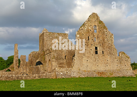 Hore Abbey, Co. Tipperary, Irland Stockfoto