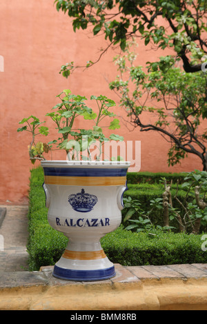 Eine Vase eingeschrieben mit dem königlichen Wappen, der Alcázar, Sevilla, Spanien Stockfoto