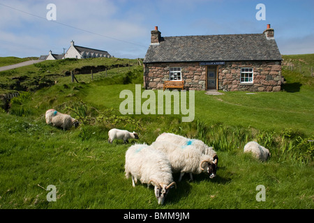 Iona Abbey Isle of Iona westlichen Inseln Schottlands Stockfoto