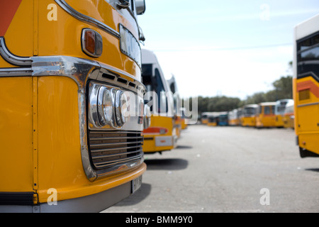 Malta Busse Stockfoto