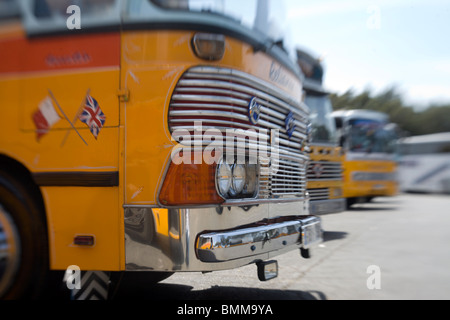 Malta Busse Stockfoto