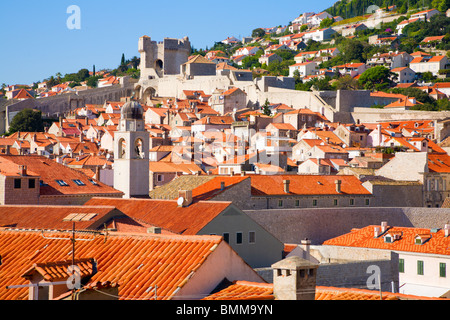 Blick zur historischen Altstadt von Dubrovnik von der Stadtmauer Stockfoto