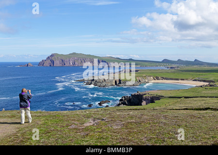 Klippen von Sybil Point in der Nähe von Ballyferriter, Dingle Halbinsel, Co. Kerry, Irland Stockfoto