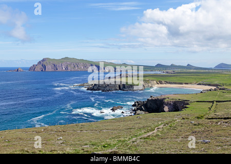 Klippen von Sybil Point in der Nähe von Ballyferriter, Dingle Halbinsel, Co. Kerry, Irland Stockfoto
