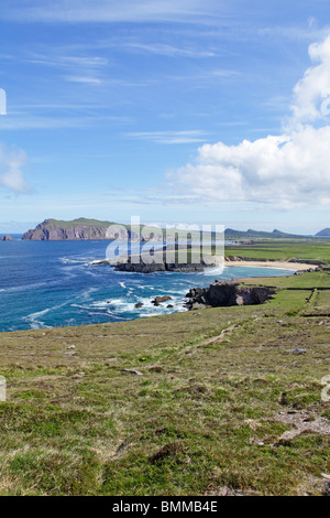 Klippen von Sybil Point in der Nähe von Ballyferriter, Dingle Halbinsel, Co. Kerry, Irland Stockfoto