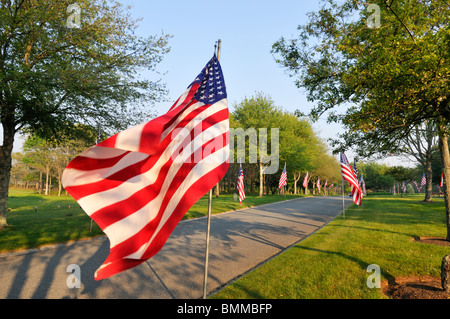 Amerikanische Flaggen wehten auf einer von Bäumen gesäumten Straße am Memorial Day am Massachusetts National Cemetery in Bourne, Cape Cod USA Stockfoto