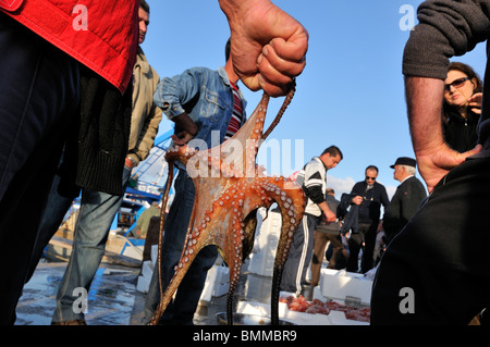 Gallipoli. Italien. Frischer Fisch landete & direkt vom Anleger verkauft. Stockfoto