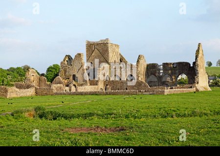 Hore Abbey, Co. Tipperary, Irland Stockfoto