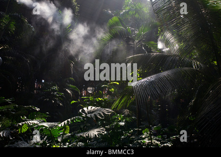 Der tropische Garten, Bahnhof Atocha, Madrid, Spanien Stockfoto