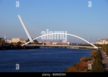 Brücke (Puente de Alamillo) über den Fluss (Rio Guadalquivir), Sevilla, Provinz Sevilla, Andalusien, Südspanien, Westeuropa. Stockfoto