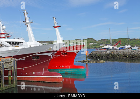 Fischerhafen von Killybegs, County Donegal, Irland Stockfoto