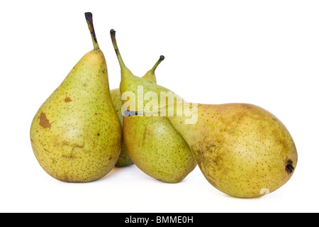 Vier Konferenz Birnen isoliert auf weißem Hintergrund Stockfoto