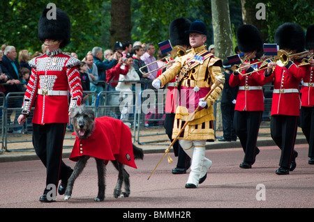 Trooping die Farbe 2010, der Irish Guards Maskottchen ein irischer Wolfshund Stockfoto