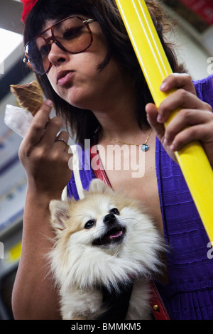 Frau mit Hund Stockfoto