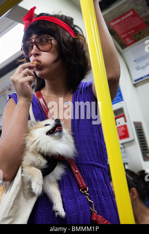 Frau, die einen Hund in Schlinge Stockfoto