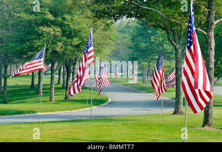 Von Bäumen gesäumten Straße mit amerikanischen Flaggen auf Pole an der Massachusetts-Staatsangehörig-Kirchhof in Bourne, Massachusetts, USA Stockfoto