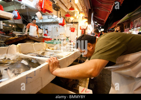 Mann auf der Suche etwas im Fischmarkt in Hong Kong Stockfoto