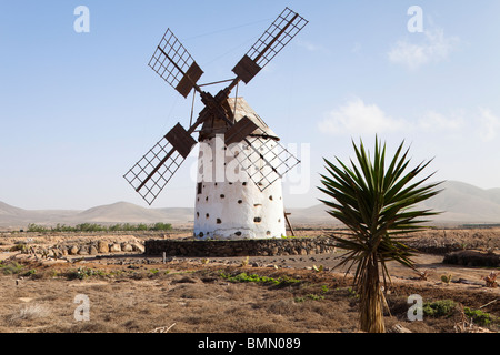 Eine traditionelle Windmühle in El Roque bei El Cotillo auf der Kanarischen Insel Fuerteventura Stockfoto