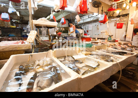 Fische auf dem Display im Shop im Fischmarkt in Hong Kong Stockfoto