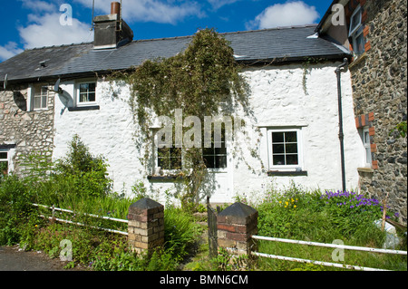 Ferienhaus mit verwilderten Vorgarten in Llanwrtyd Wells Powys Mid Wales UK Stockfoto