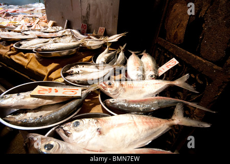 Fische und Meeresfrüchte auf dem Display für den Verkauf im Fischmarkt in Hong Kong Stockfoto