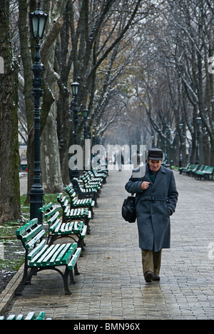 Alter Mann zu Fuß in einer Allee in Odessa. Ukranie, Europa Stockfoto