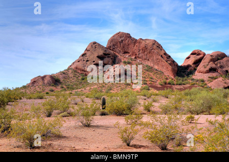 Arizona Wüste Berge Papago Park Phoenix USA Stockfoto