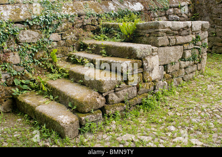 Pferd Montageschritte - Johannes Gollop Stockfoto