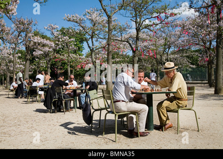 Alte zurückgezogen Männer spielen Schach in den Jardins du Luxembourg, Paris Stockfoto