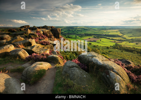 Spätsommer-Licht am Heidekraut bewachsenen Curbar Rand in den Peak District von Derbyshire, England Stockfoto