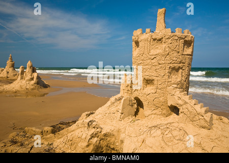 Sand Burgen, South Padre Island, Texas Stockfoto