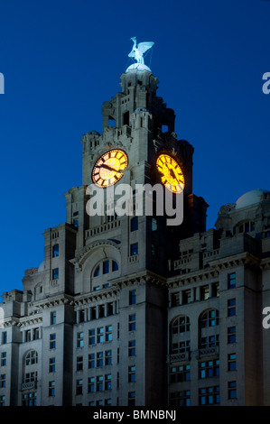 Liverpools Royal Liver Building beleuchtet bei Nacht Stockfoto