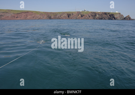 Plankton Schleppnetz, Pembrokeshire, Wales, UK, Europa Stockfoto