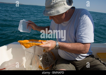 Plankton Schleppnetz, Pembrokeshire, Wales, UK, Europa Stockfoto