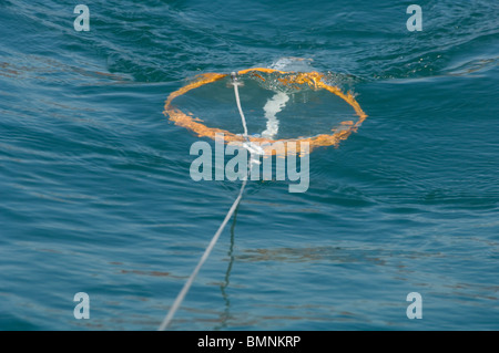 Plankton Schleppnetz, Pembrokeshire, Wales, UK, Europa Stockfoto