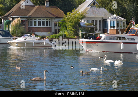 Sunbury on Thames, Riverside Garden Stockfoto