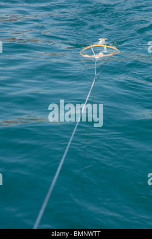 Plankton Schleppnetz, Pembrokeshire, Wales, UK, Europa Stockfoto