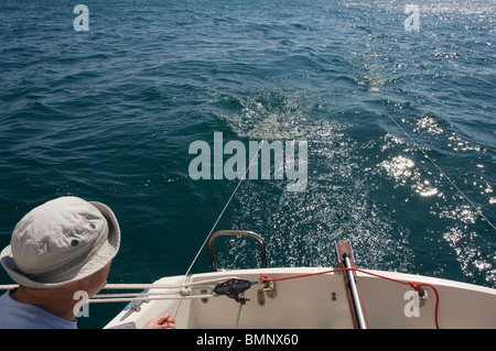 Plankton Schleppnetz, Pembrokeshire, Wales, UK, Europa Stockfoto