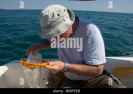 Plankton Schleppnetz, Pembrokeshire, Wales, UK, Europa Stockfoto