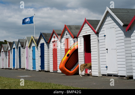 Englische Riviera, Strandhütten, halb Hund, Strandhütten an Broadsands Stockfoto