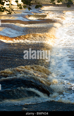 Hochwasser geht über Wehr in Fluss Tyne in Hexham Stockfoto