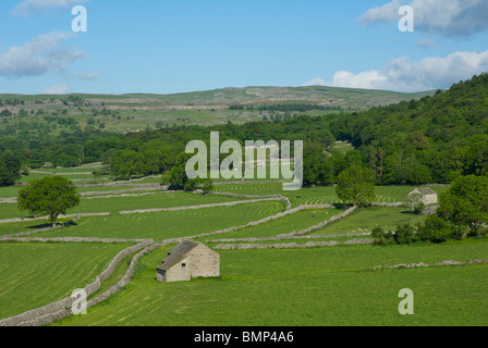 Feld-Scheunen und Grass Wald nahe Grassington, Wharfedale, Yorkshire Dales National Park, North Yorkshire, England UK Stockfoto