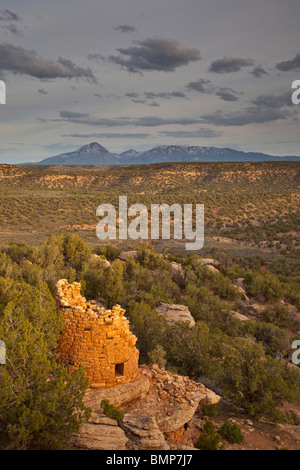 Alten Turm am lackiert Hand Pueblo, Schluchten des alten National Monument, Sleeping Ute Berg im Rücken, Colorado, USA Stockfoto