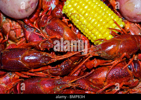 Louisiana ganze Languste Kochen Kartoffeln Corn Cob Gewürze Stockfoto