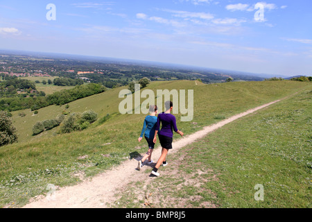 Vereinigtes Königreich West Sussex der South Downs way Stockfoto